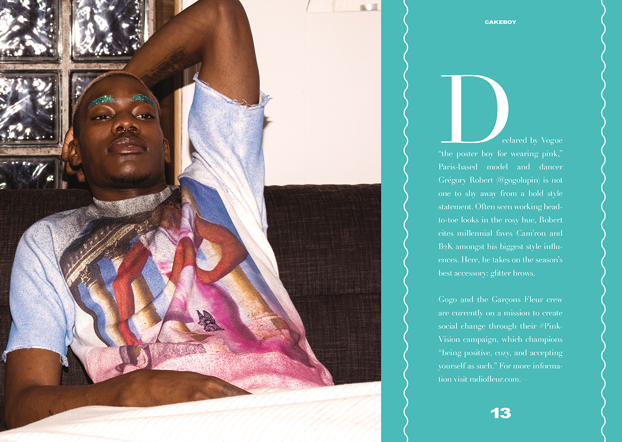 Cakeboy04-Sp9.jpg
