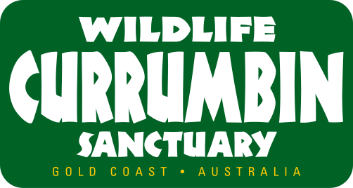 502px-Currumbin_Wildlife_Sanctuary_Logo.svg.png