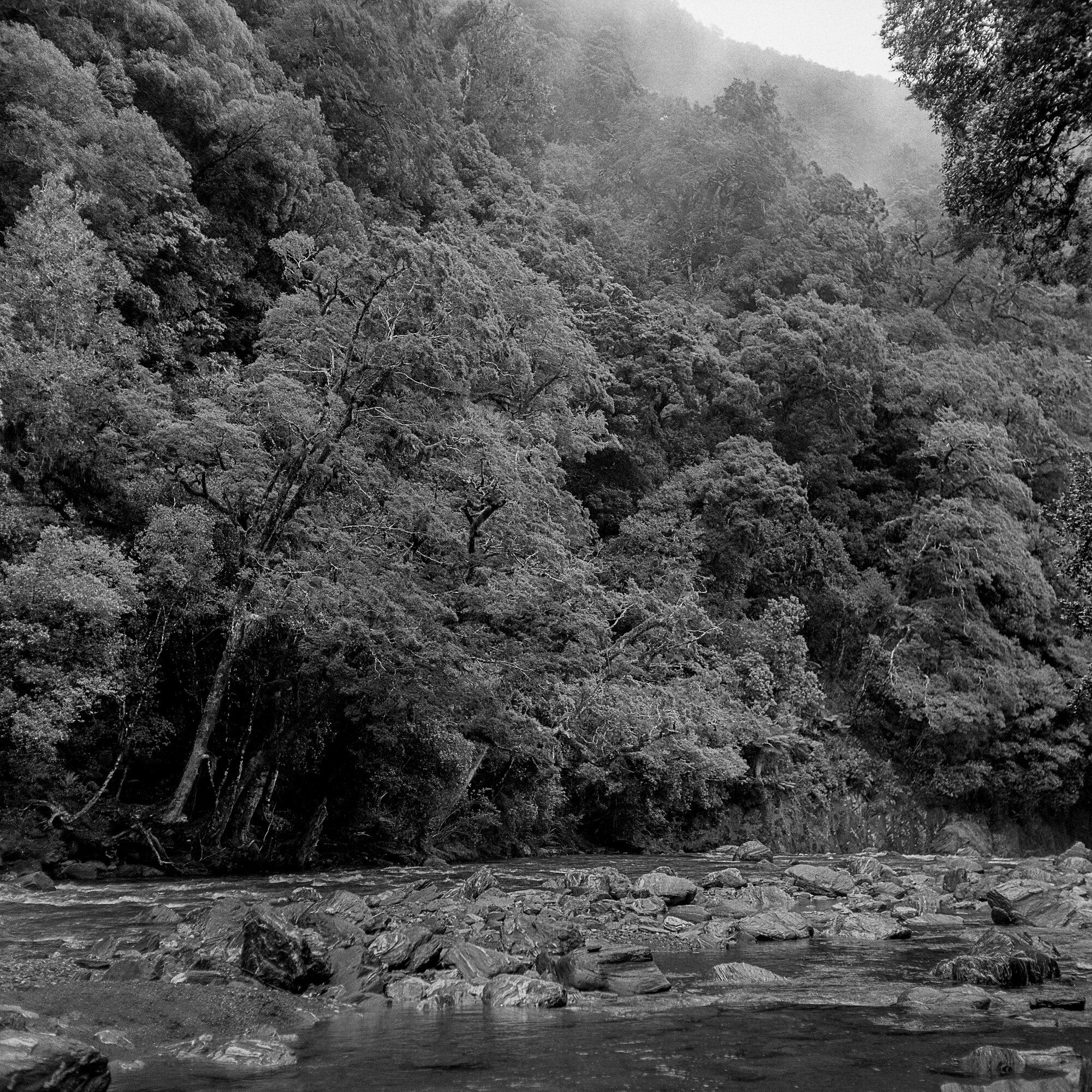  Haast River 