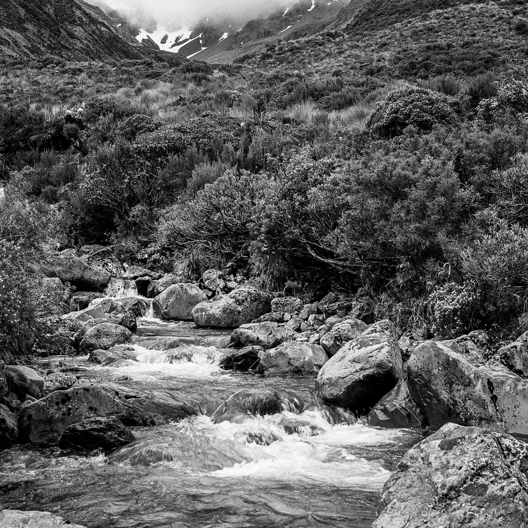  Temple Basin Track, Arthurs Pass 