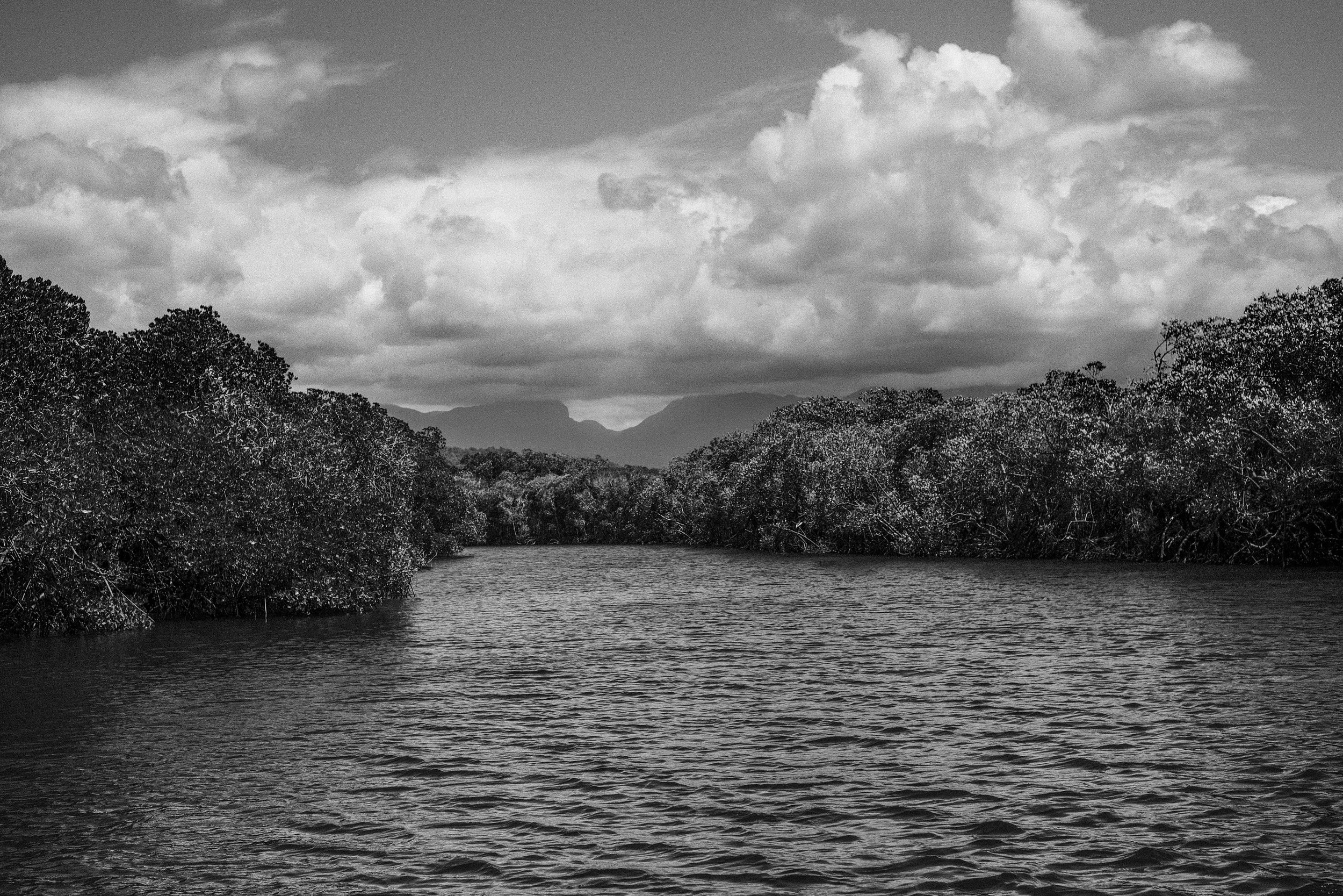 Looking up to Mossman Gorge, Dickson Inlet
