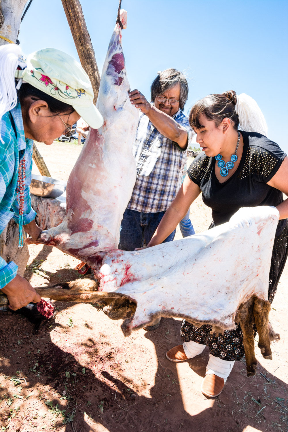 Skinning a sheep.