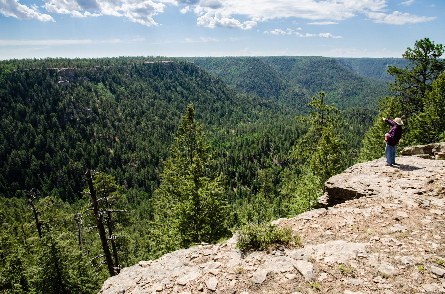 Looking out over the Chuska Mountains.