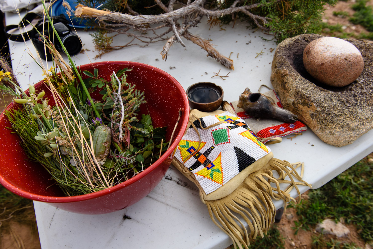 Herbs gathered to bless sheep before they move up into the mountains for the summer.