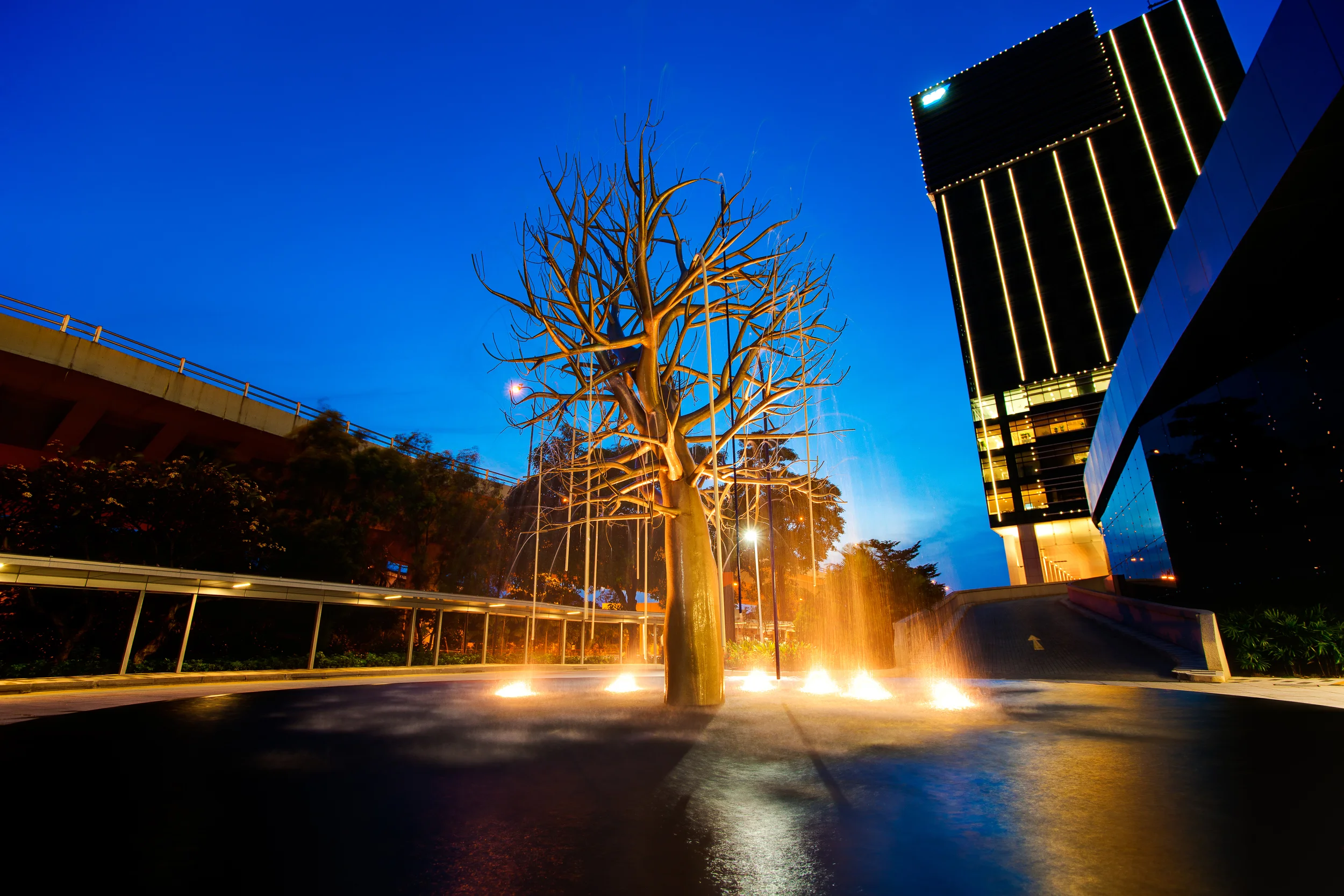 Installation Art Photography