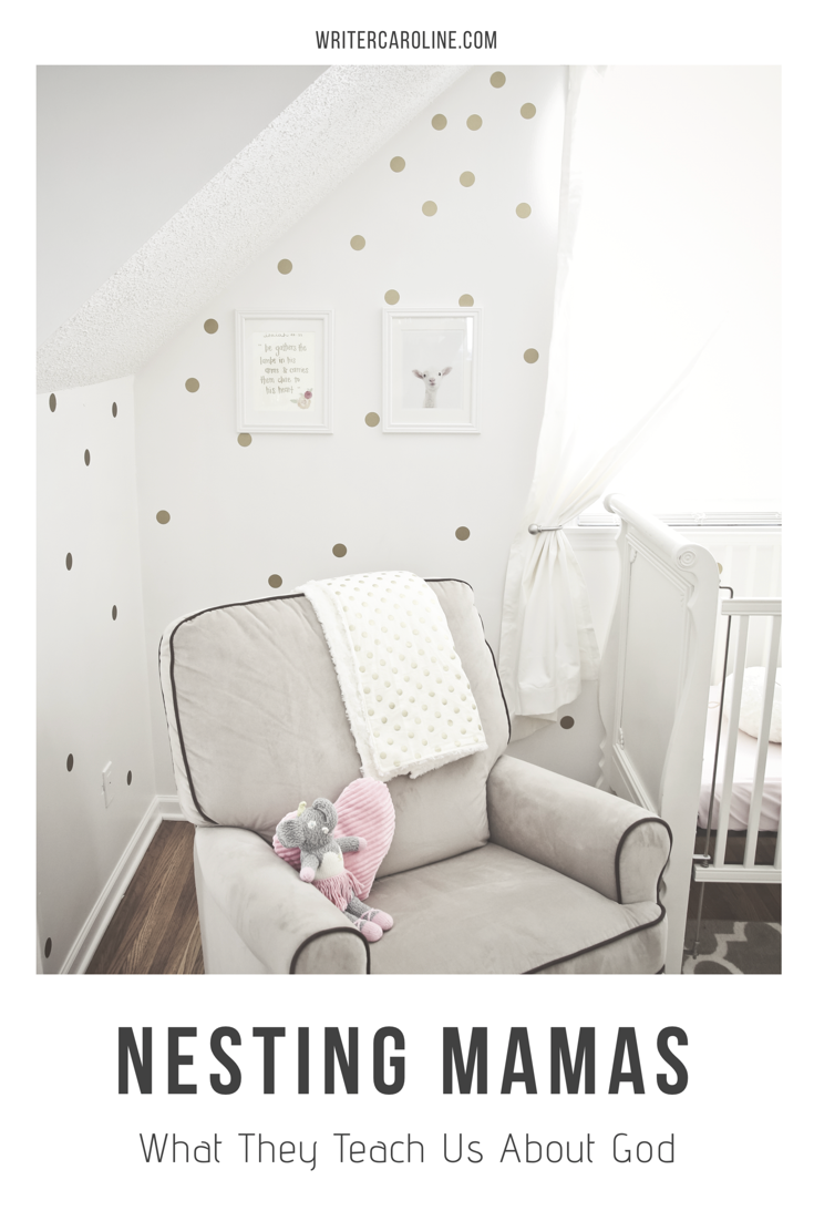 Nesting Mamas: What They Teach Us About God