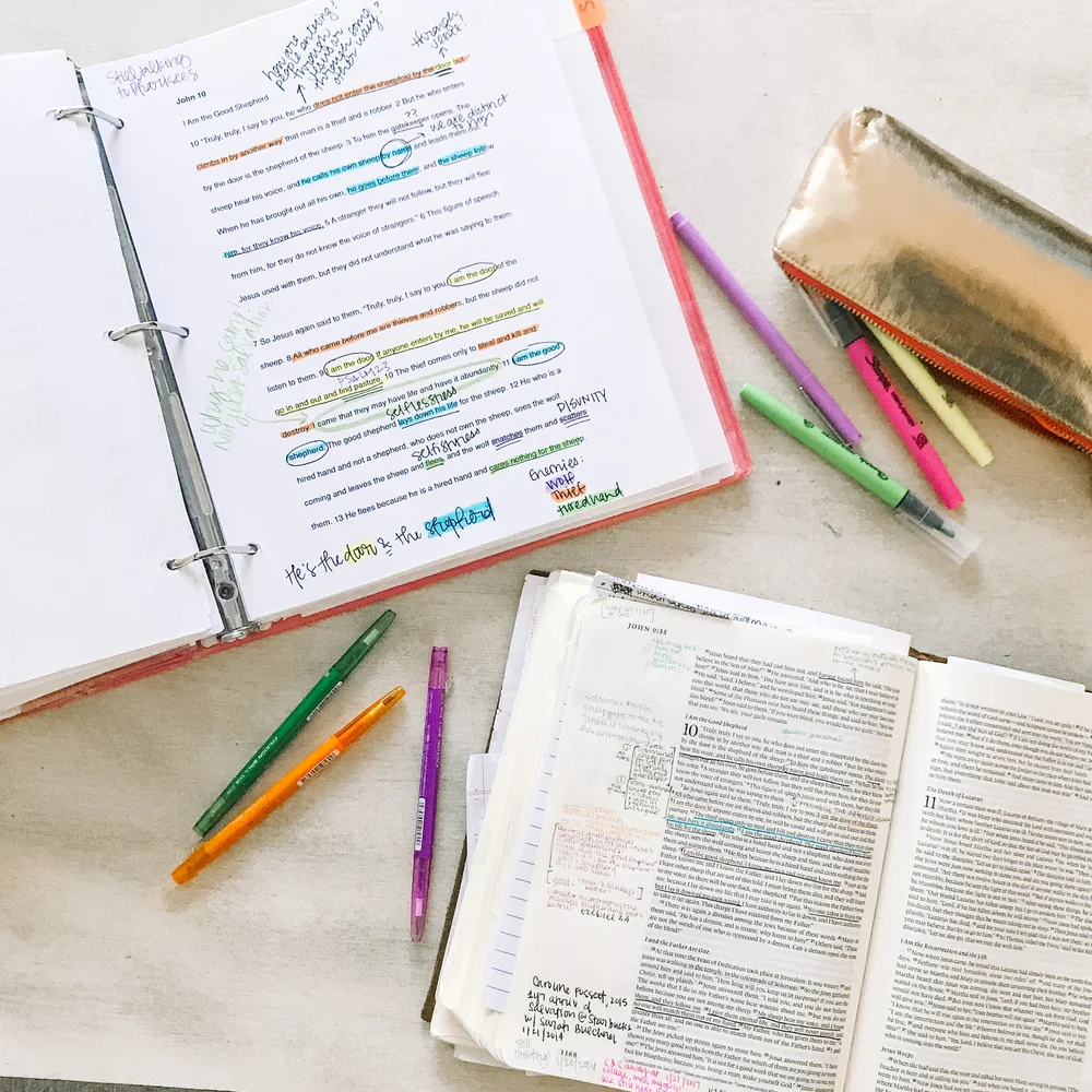The Simple Study Binder — Caroline Saunders
