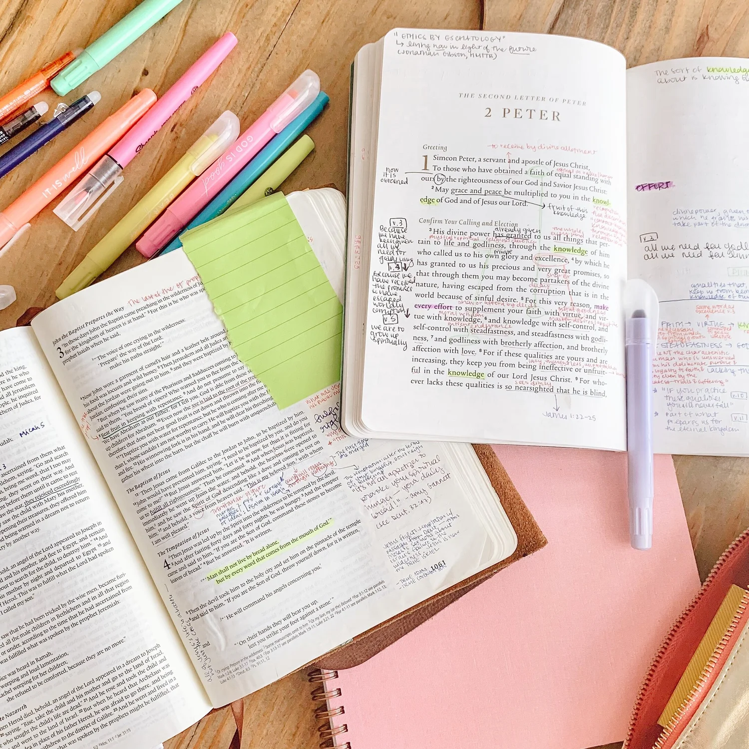 The Simple Study Binder — Caroline Saunders