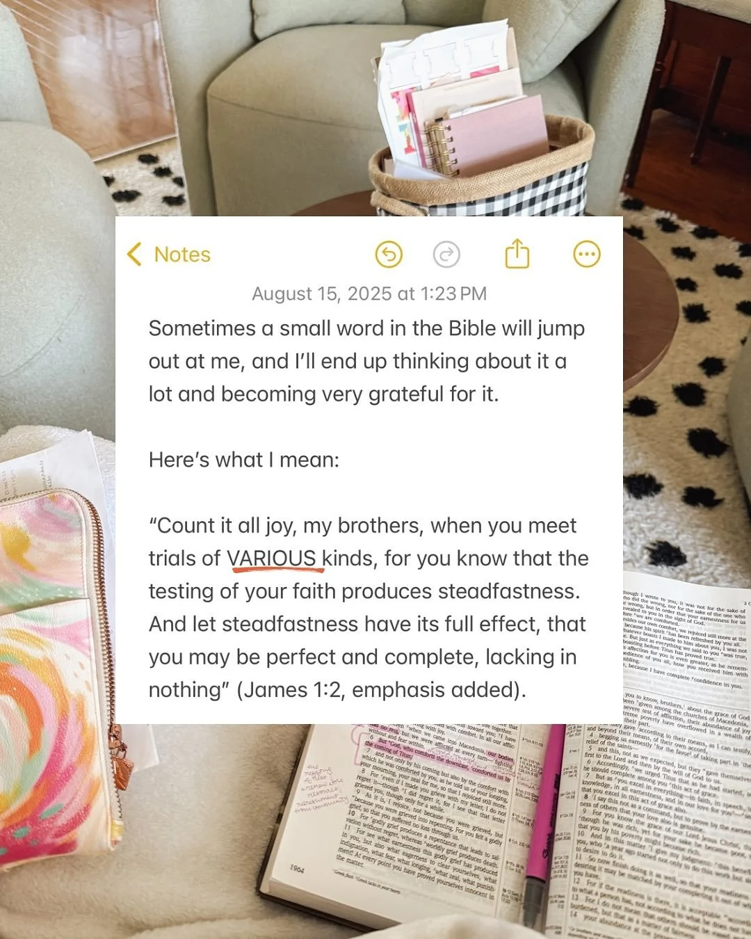 &ldquo;VARIOUS!!!&rdquo; I scream-repeat to myself! Kidding, sort of. Enjoy this shrill mediation on James 1:2 and scroll all the way through to see a photo of me with &ldquo;birthday beef,&rdquo; which is not a thing.