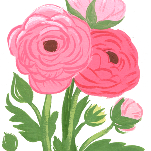 17_ranunculus600.png