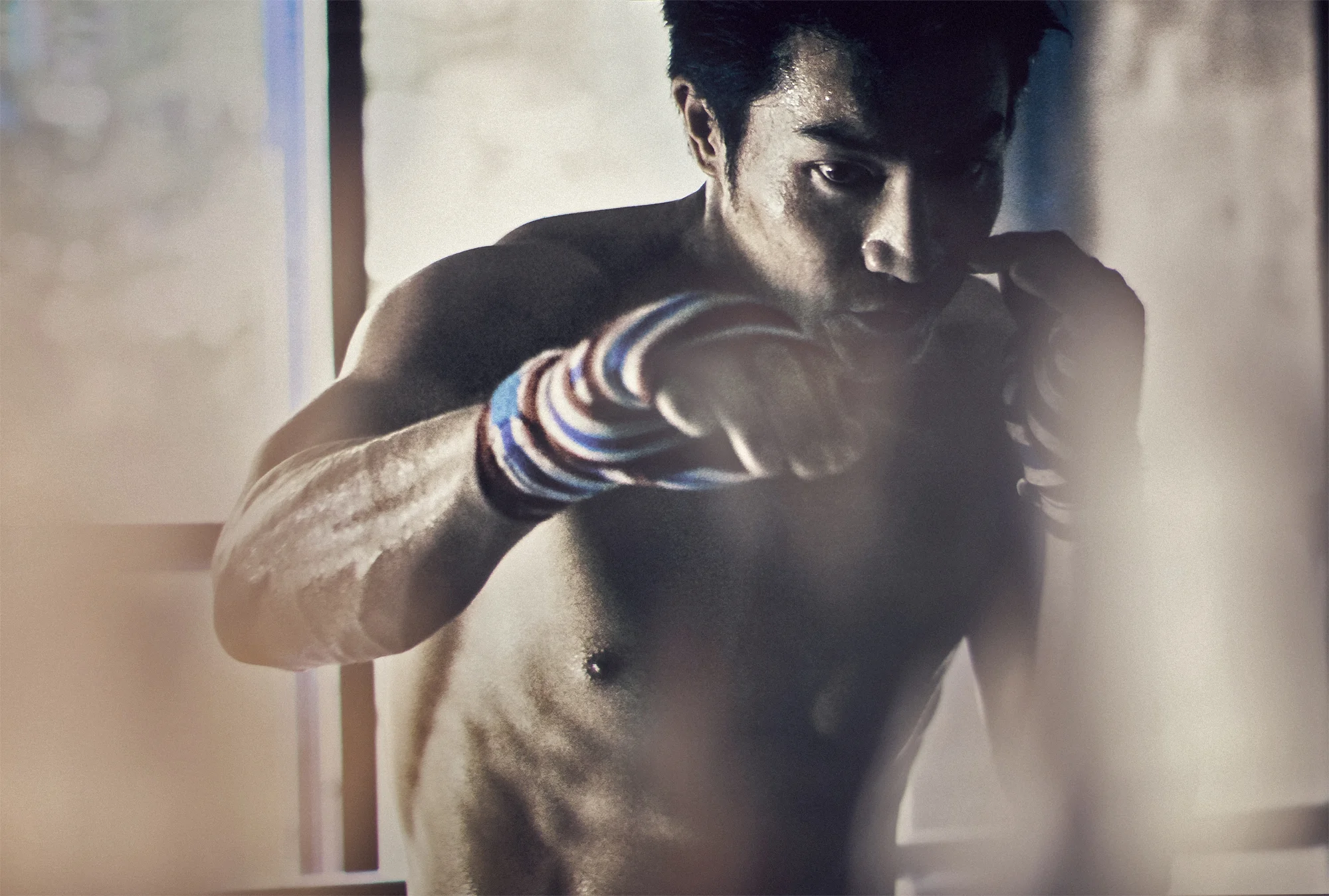 boxer01.jpg