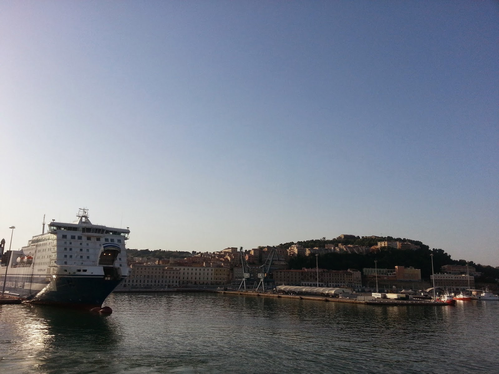 20130805_073144.jpg
