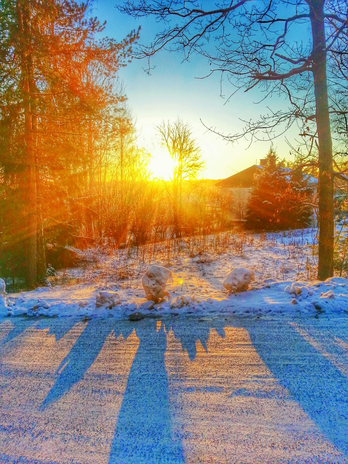 20150106_144558_1.jpg