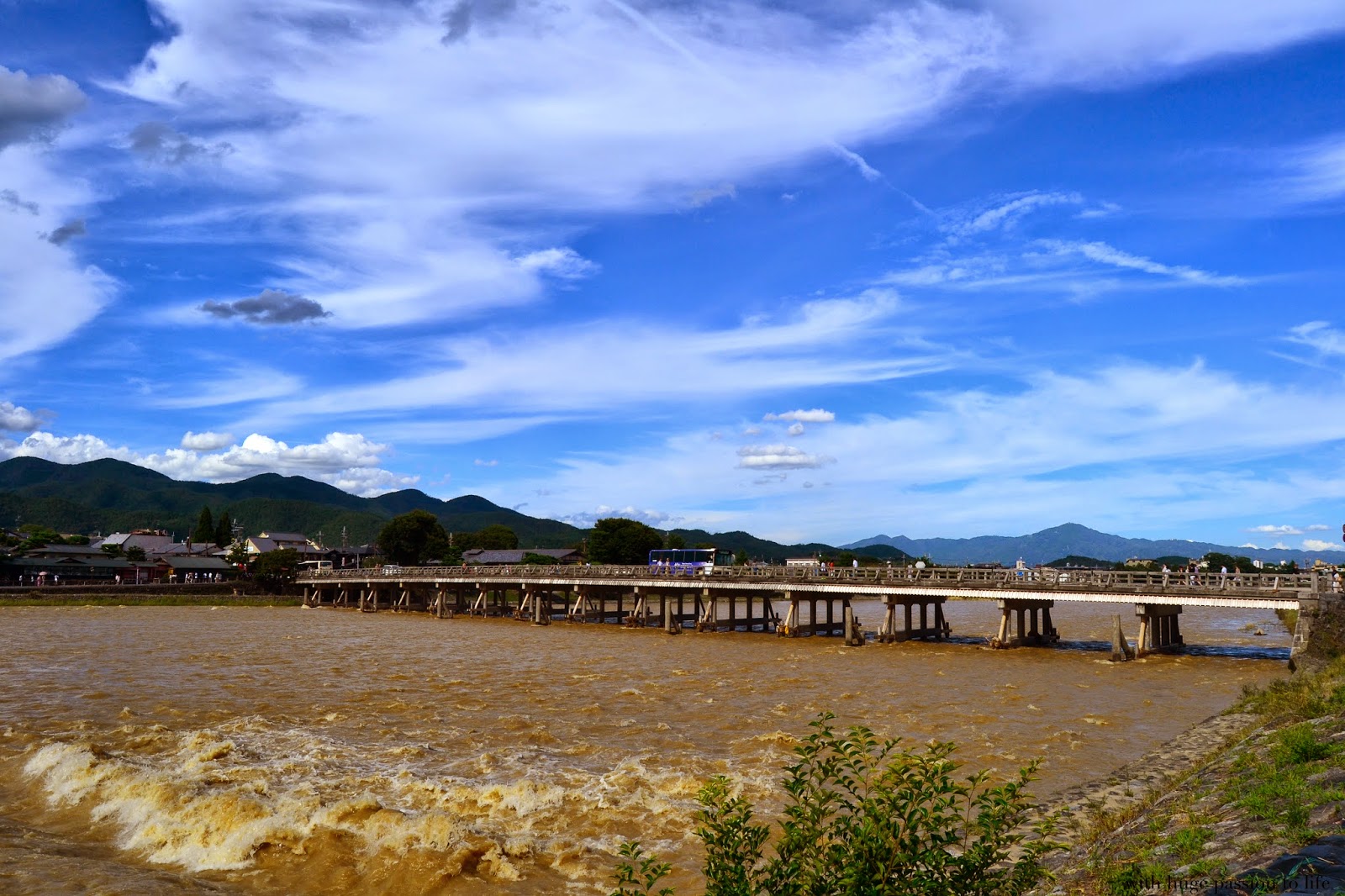 DSC_0197.JPG