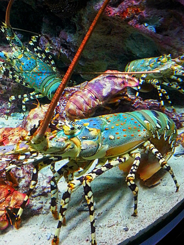 CYMERA_20140807_181015.jpg