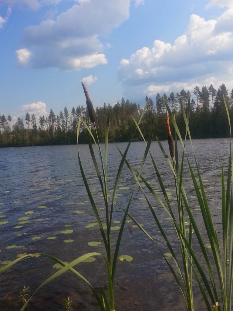 CYMERA_20140725_145035.jpg