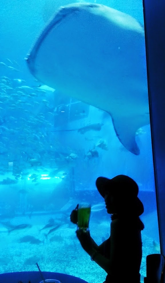 CYMERA_20140807_181212.jpg