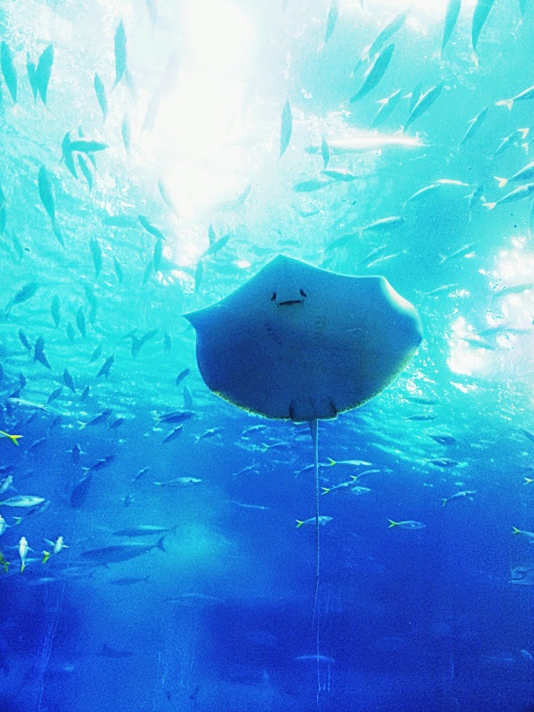 CYMERA_20140807_181431.jpg