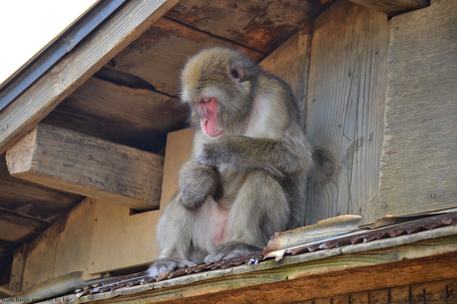 DSC_0257.JPG