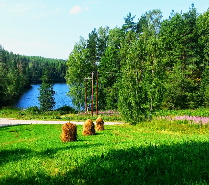 CYMERA_20140727_130326.jpg