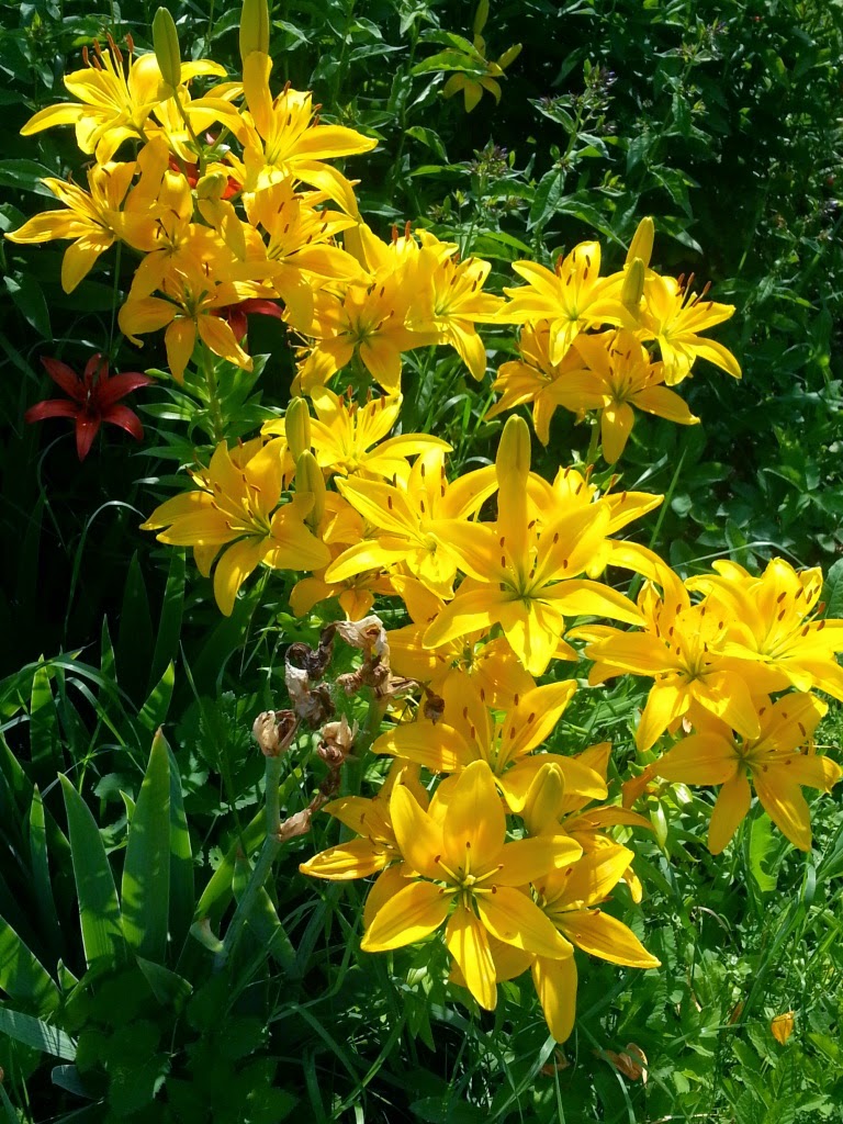CYMERA_20140727_111506.jpg
