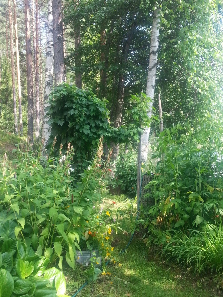 CYMERA_20140725_145006.jpg