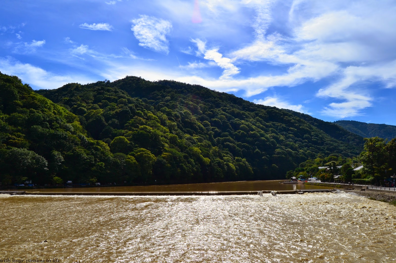 DSC_0193.JPG