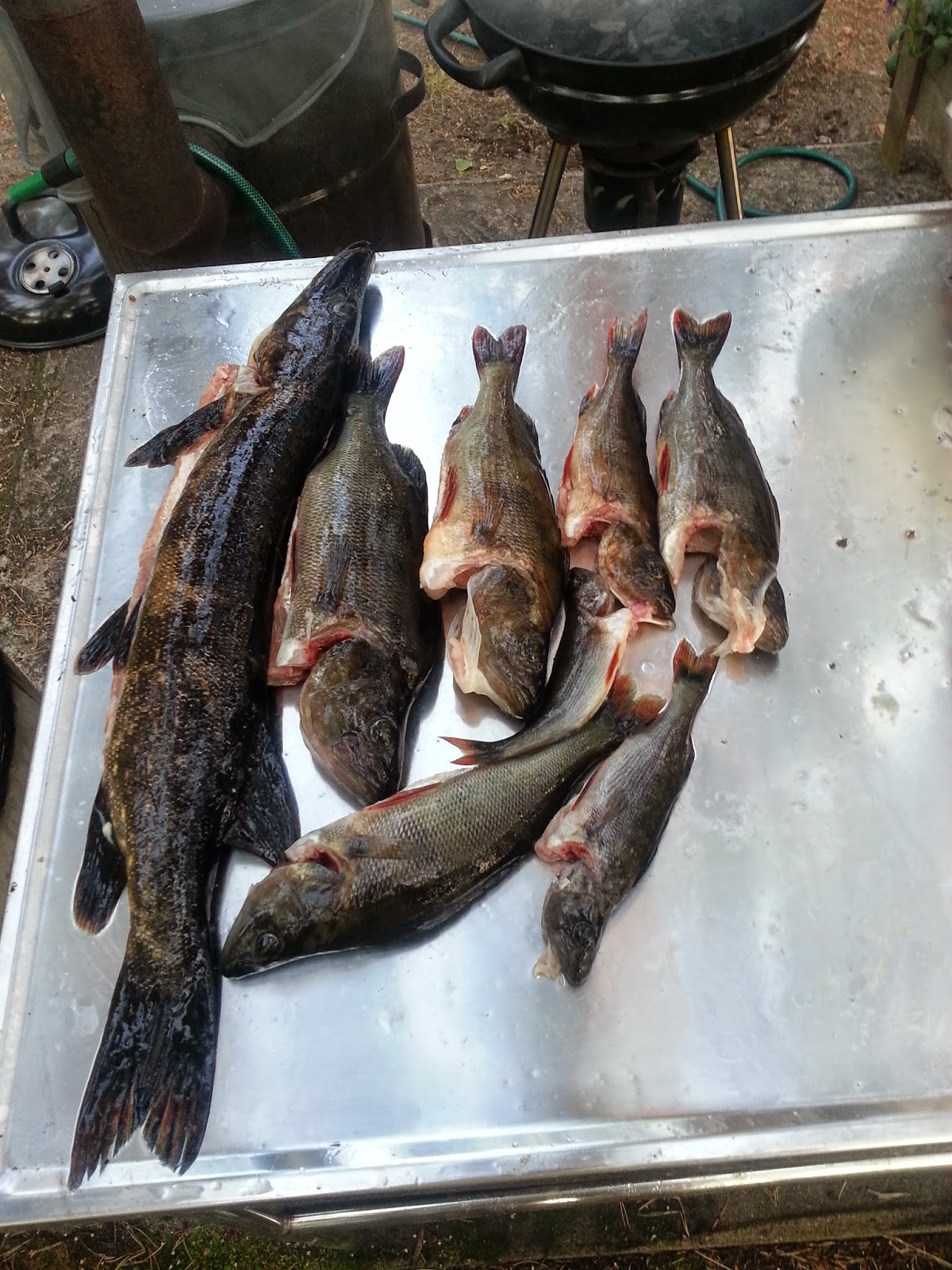 20140726_203810.jpg