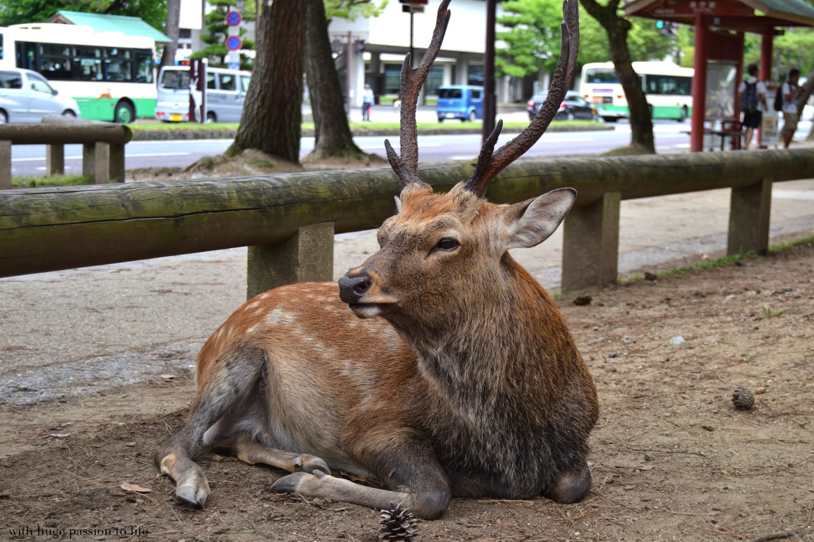 DSC_0292.JPG