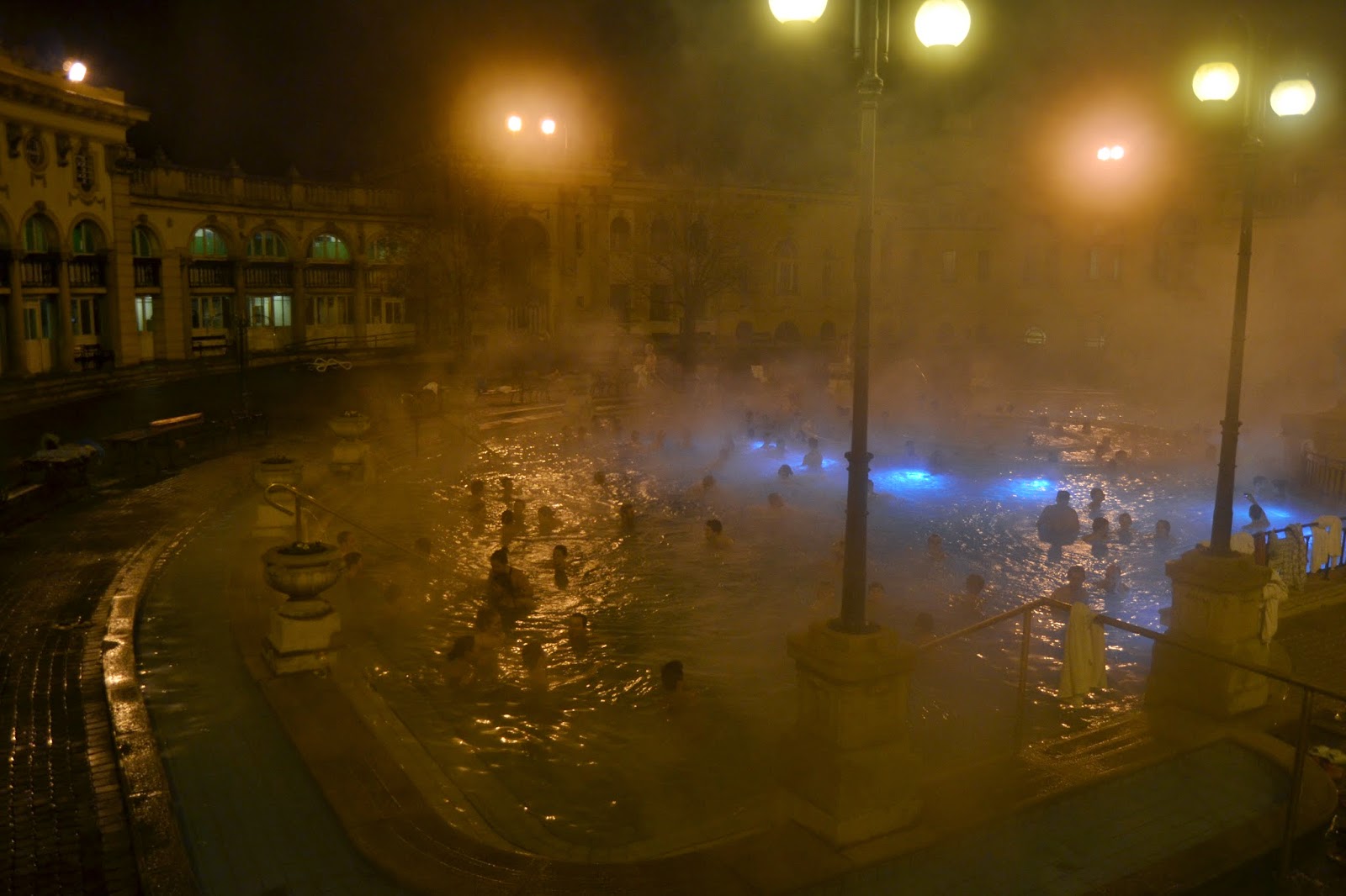 DSC_0151.JPG