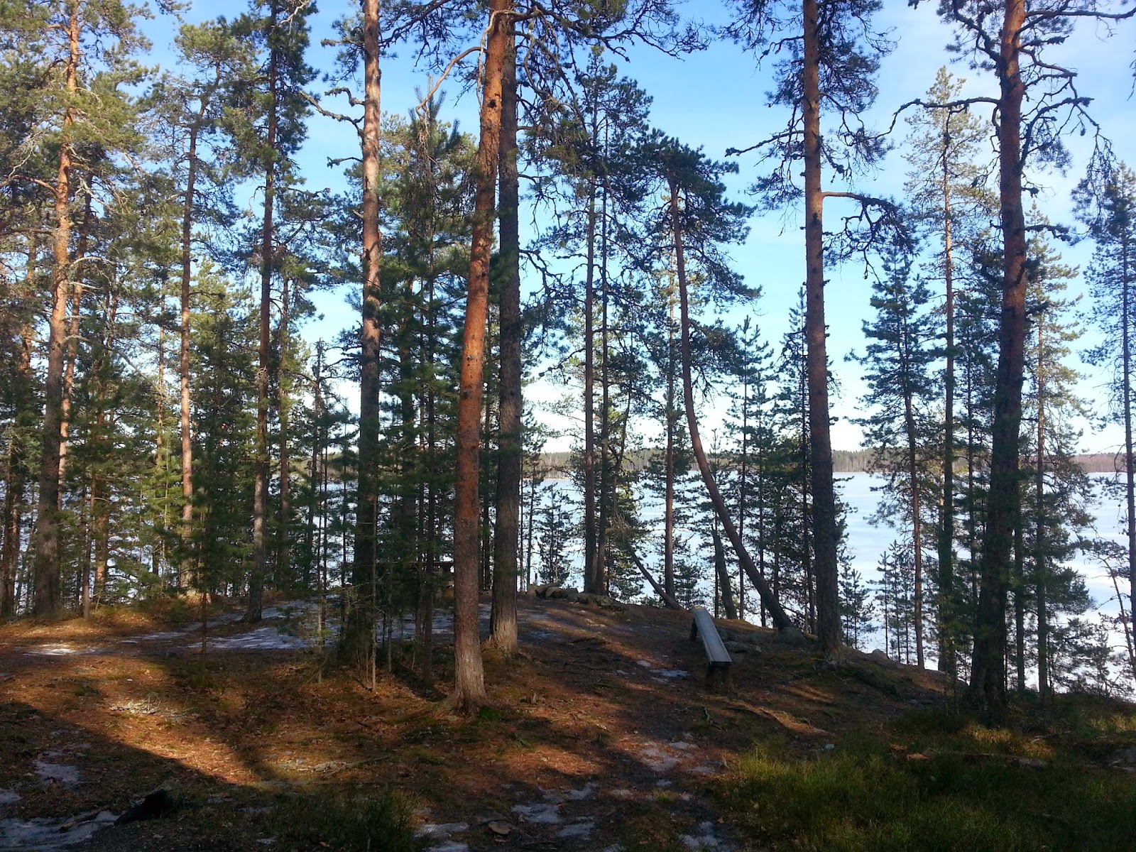 20140322_115134.jpg