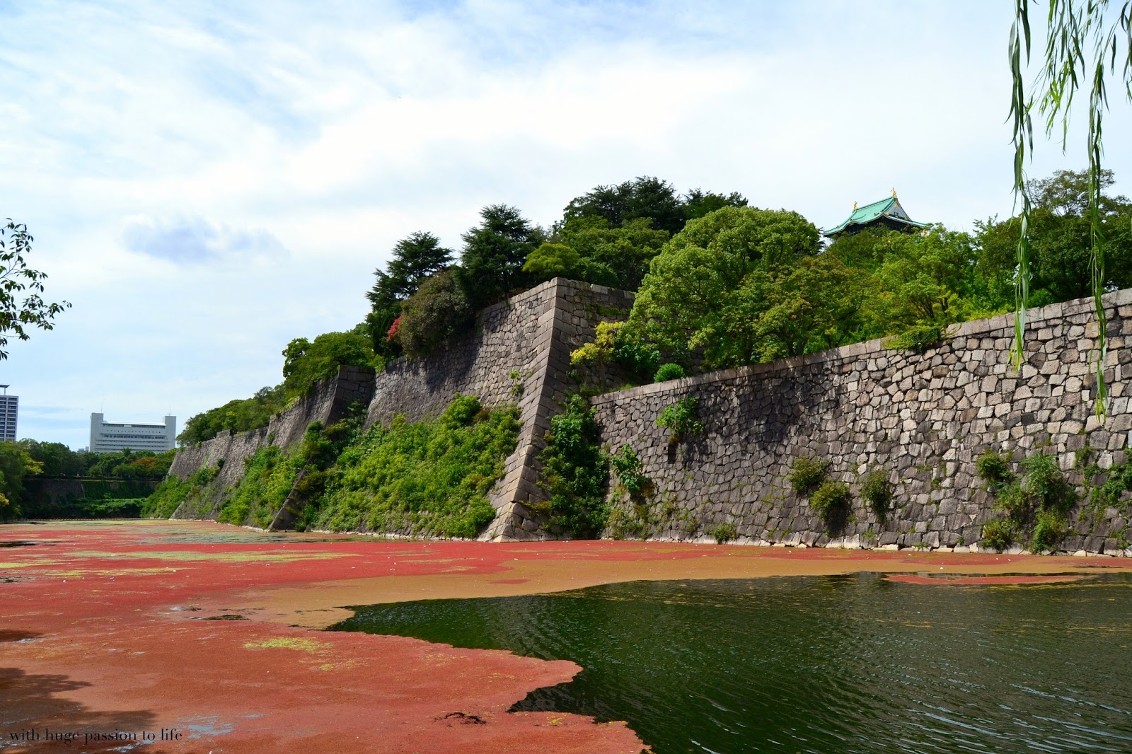 DSC_0347.JPG