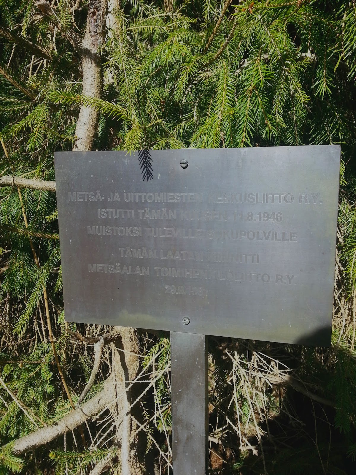 20140322_125112.jpg