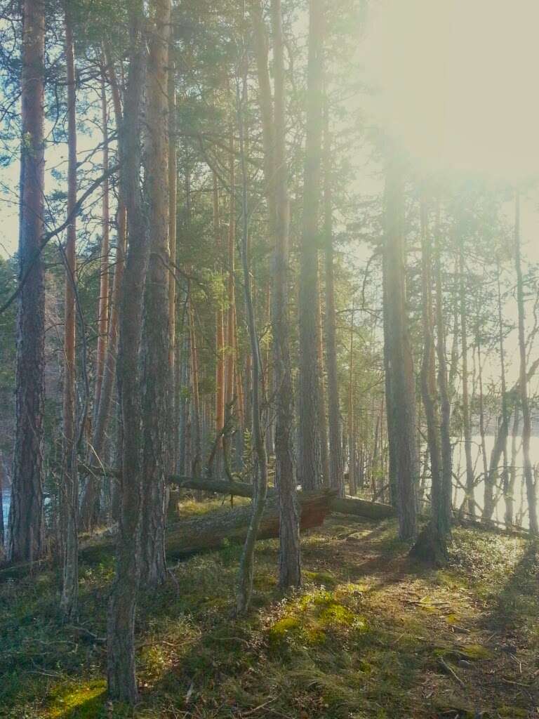CYMERA_20140322_110018.jpg