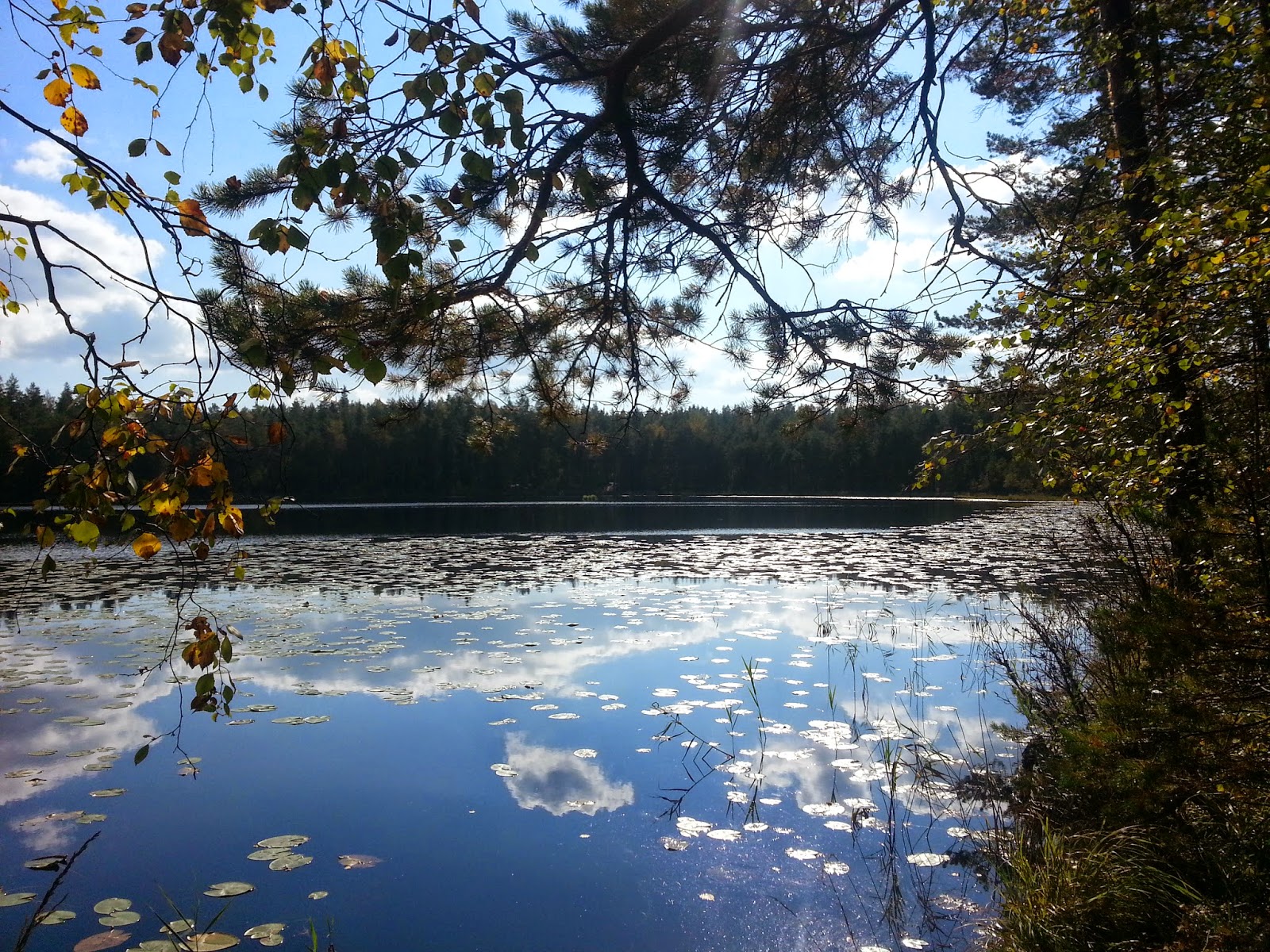 20140914_143850.jpg
