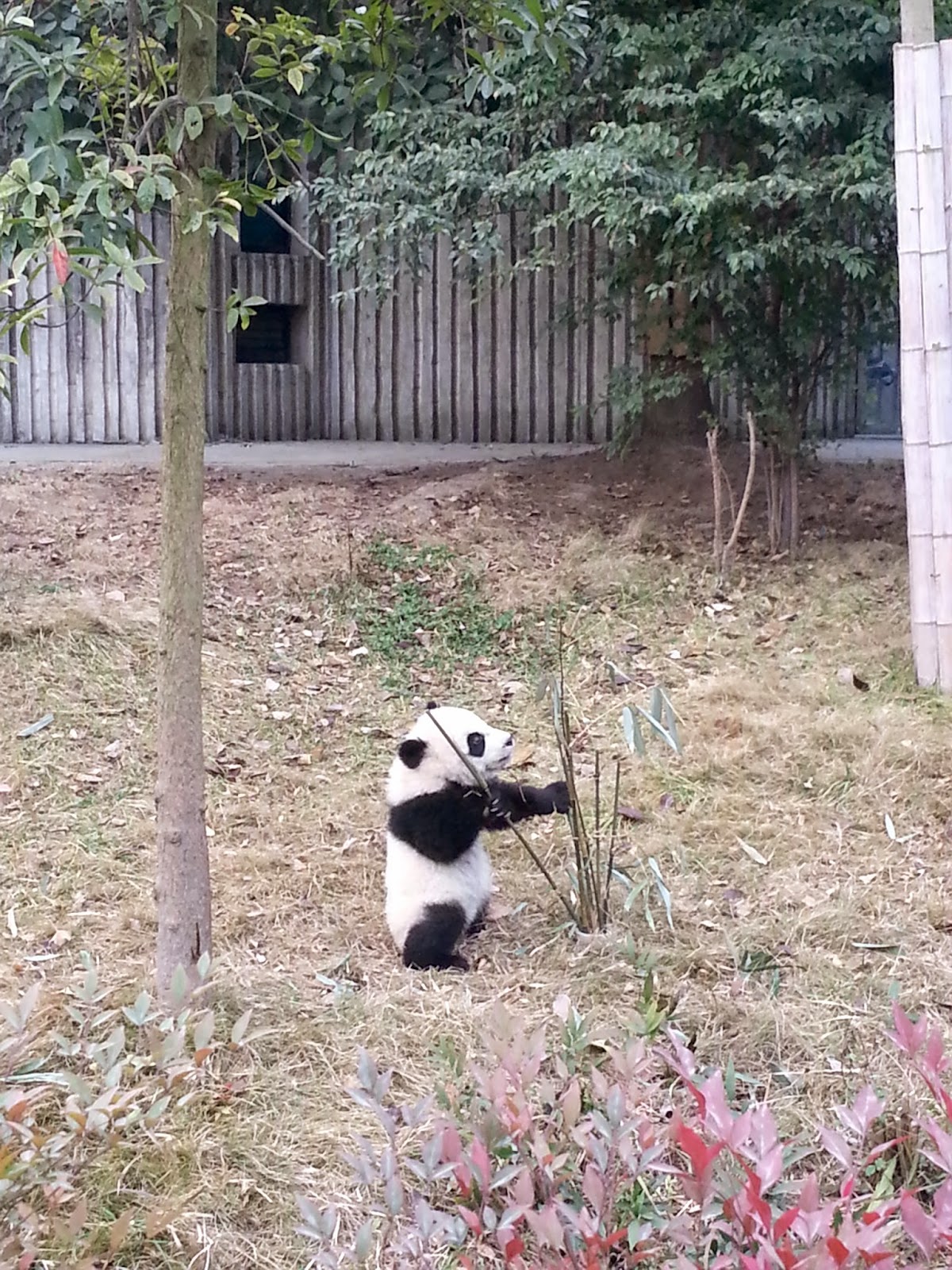 20141230_095910.jpg