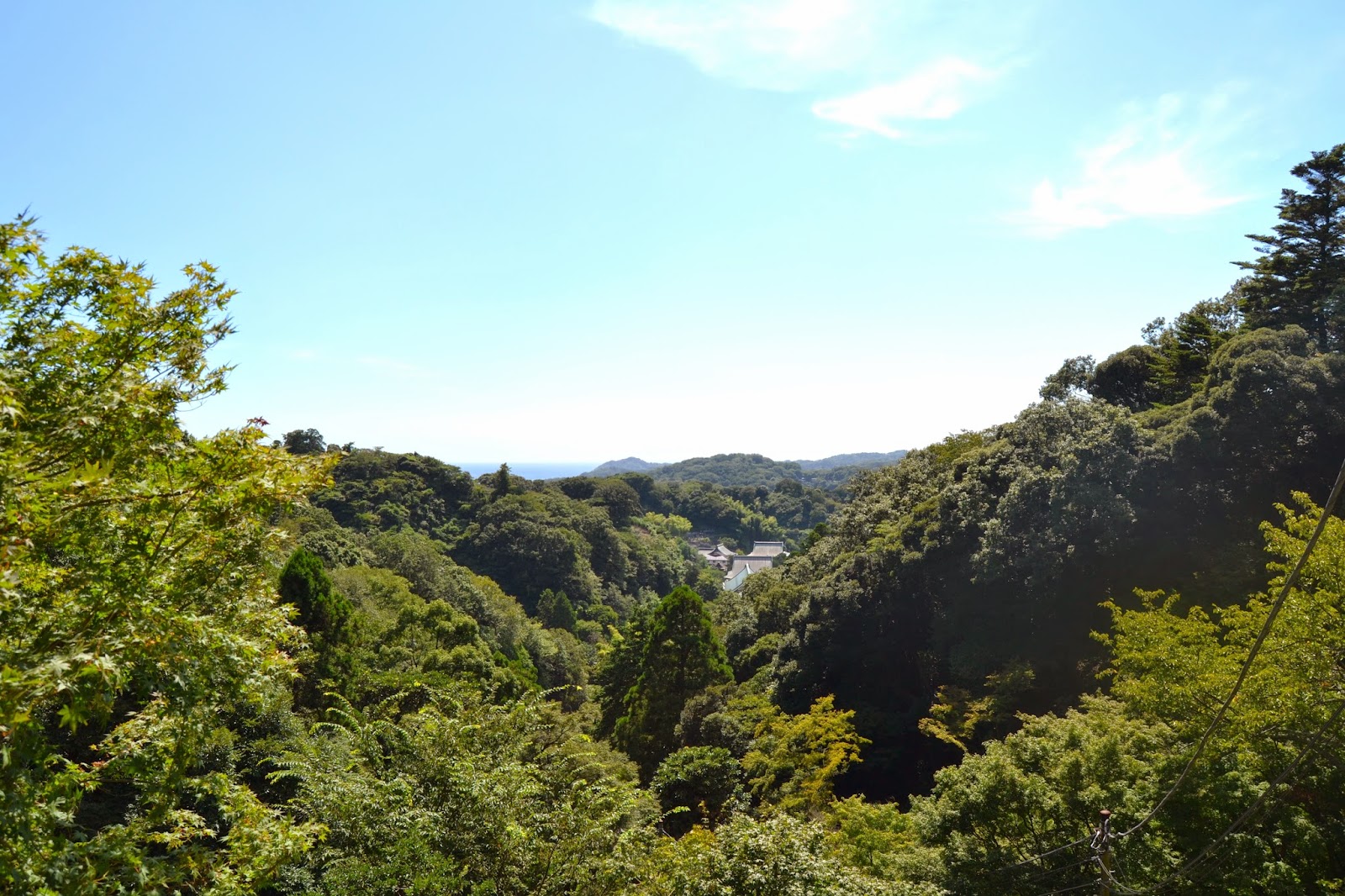 DSC_0981.JPG