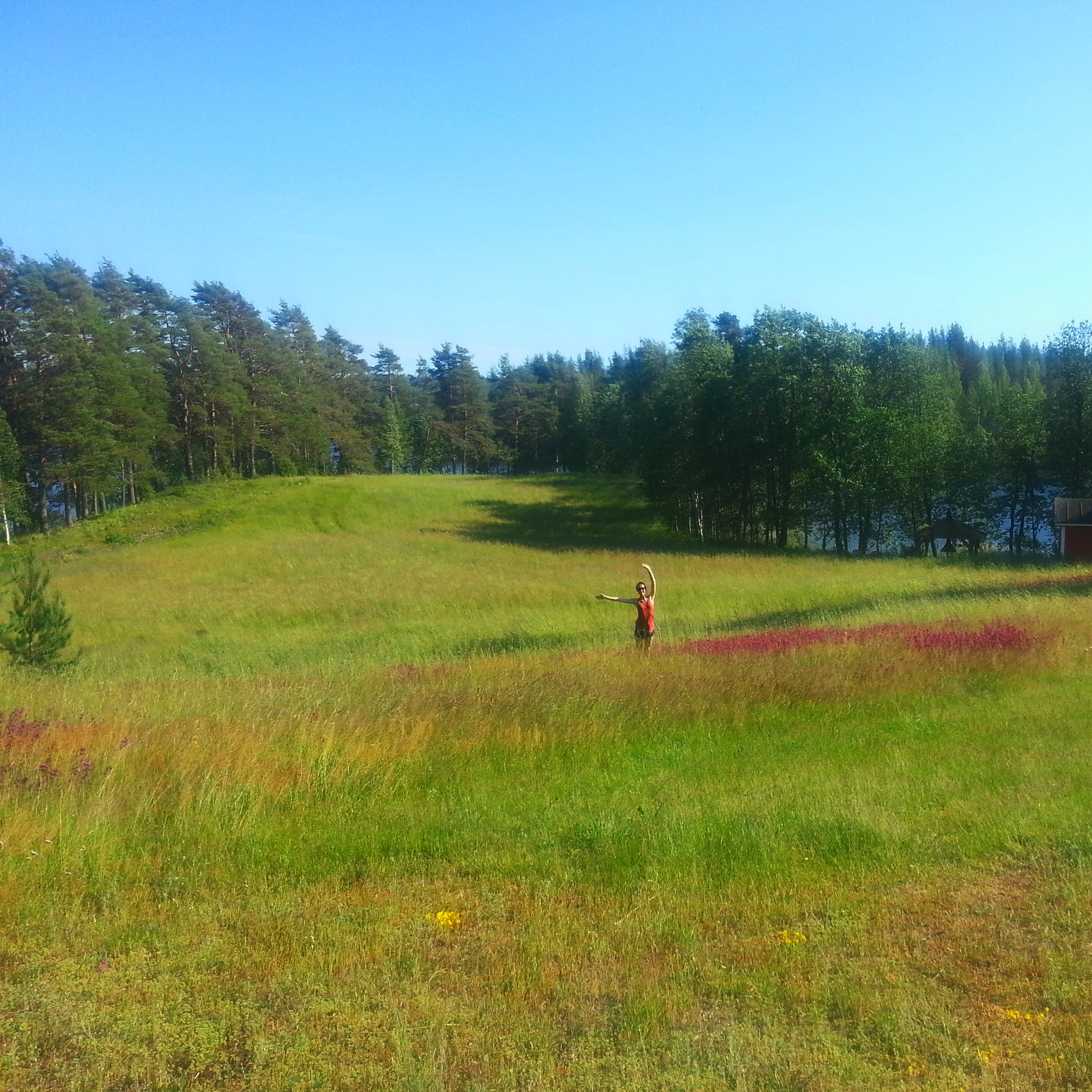Kesällä kirmailin keskellä peltoja