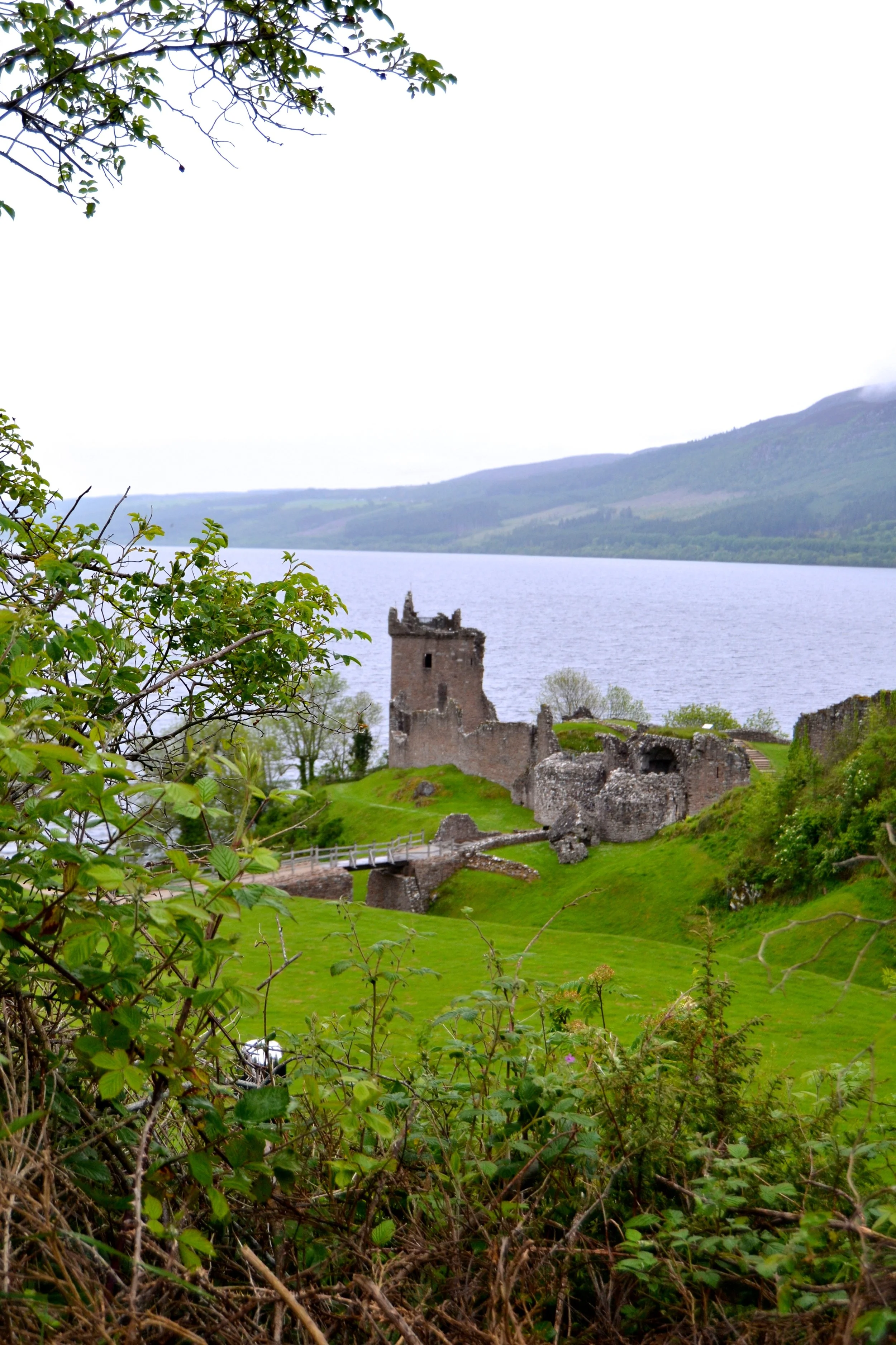 DSC_0019.jpg