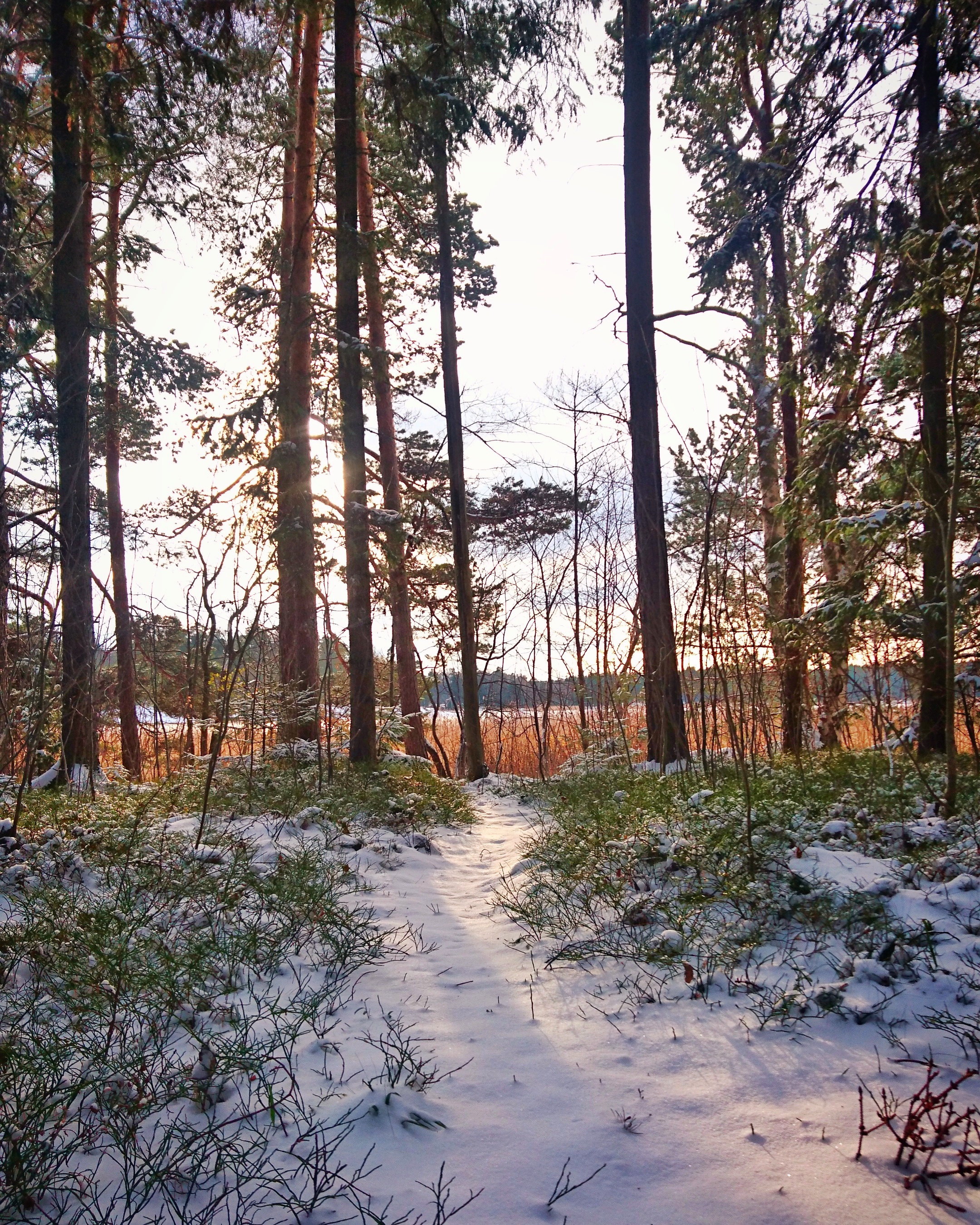 Talvi tuli marraskuun alussa