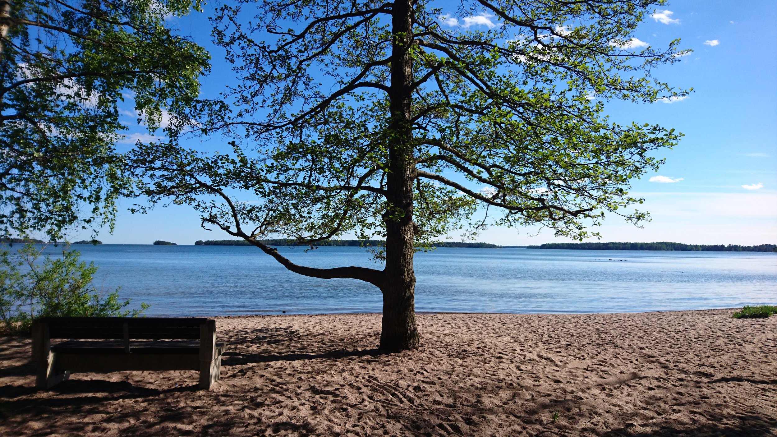 Haukilahden ranta on vaan paras paikka nauttia merimaisemista