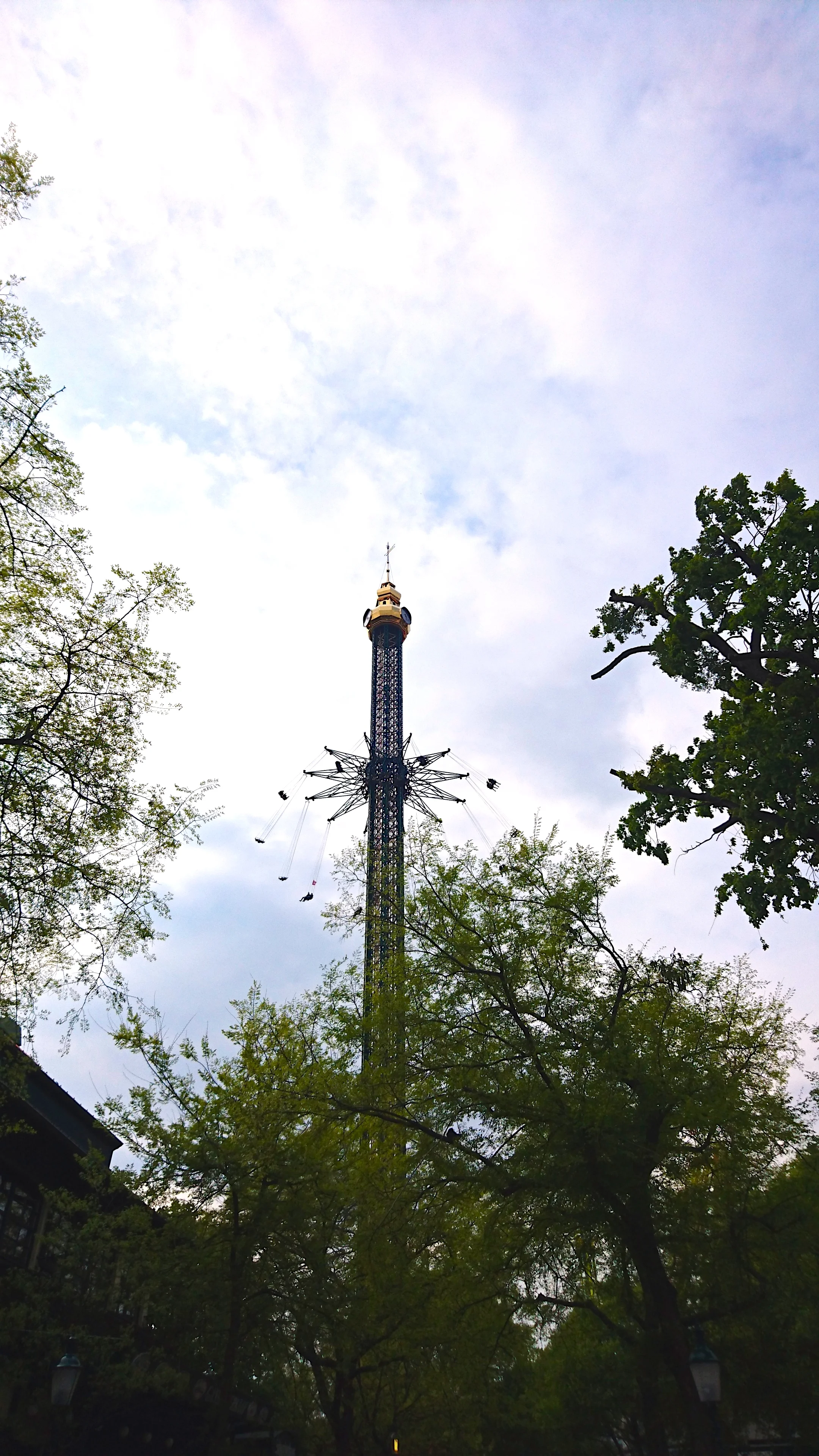 DSC_2916.jpg