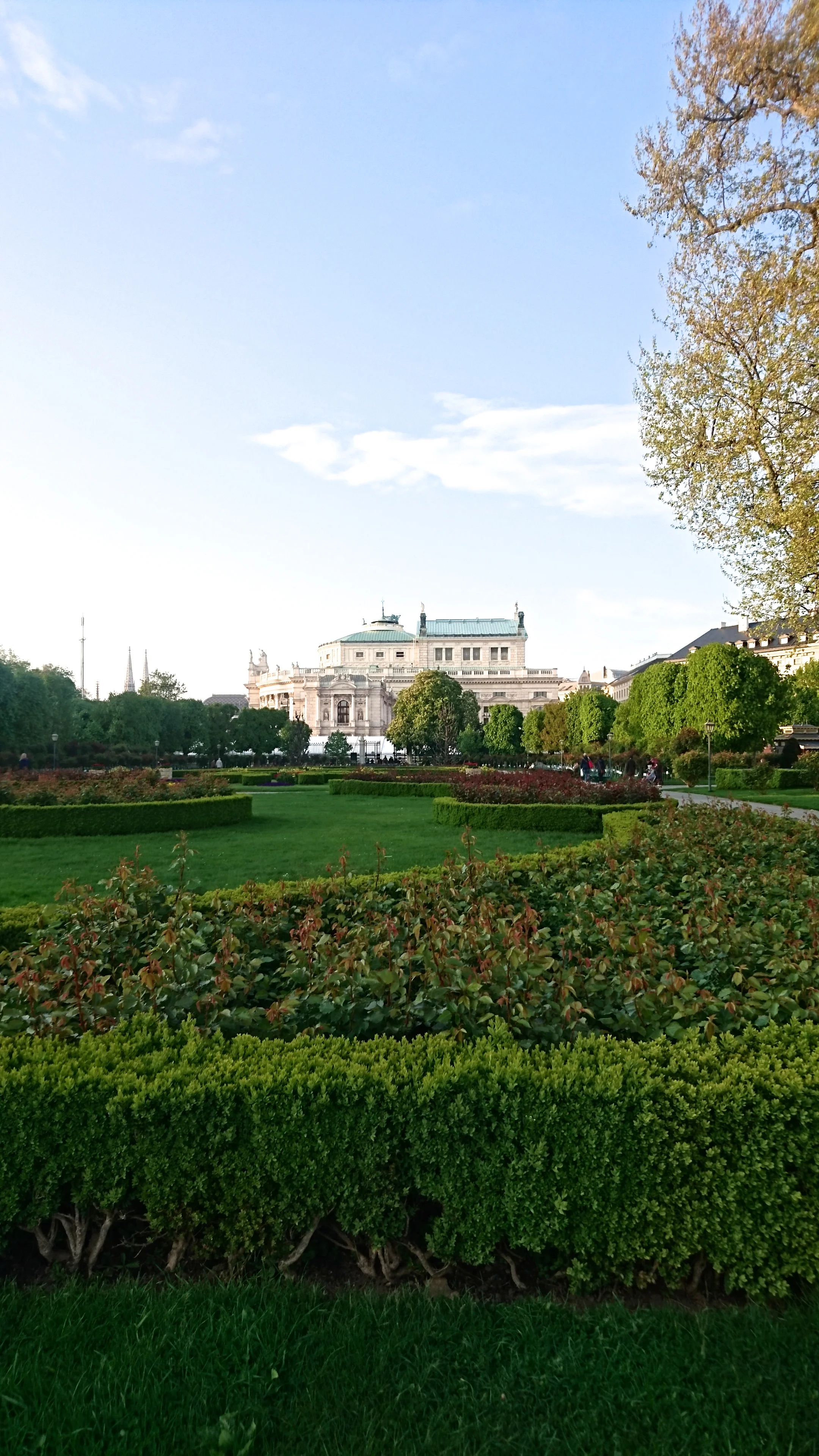 DSC_2937.jpg