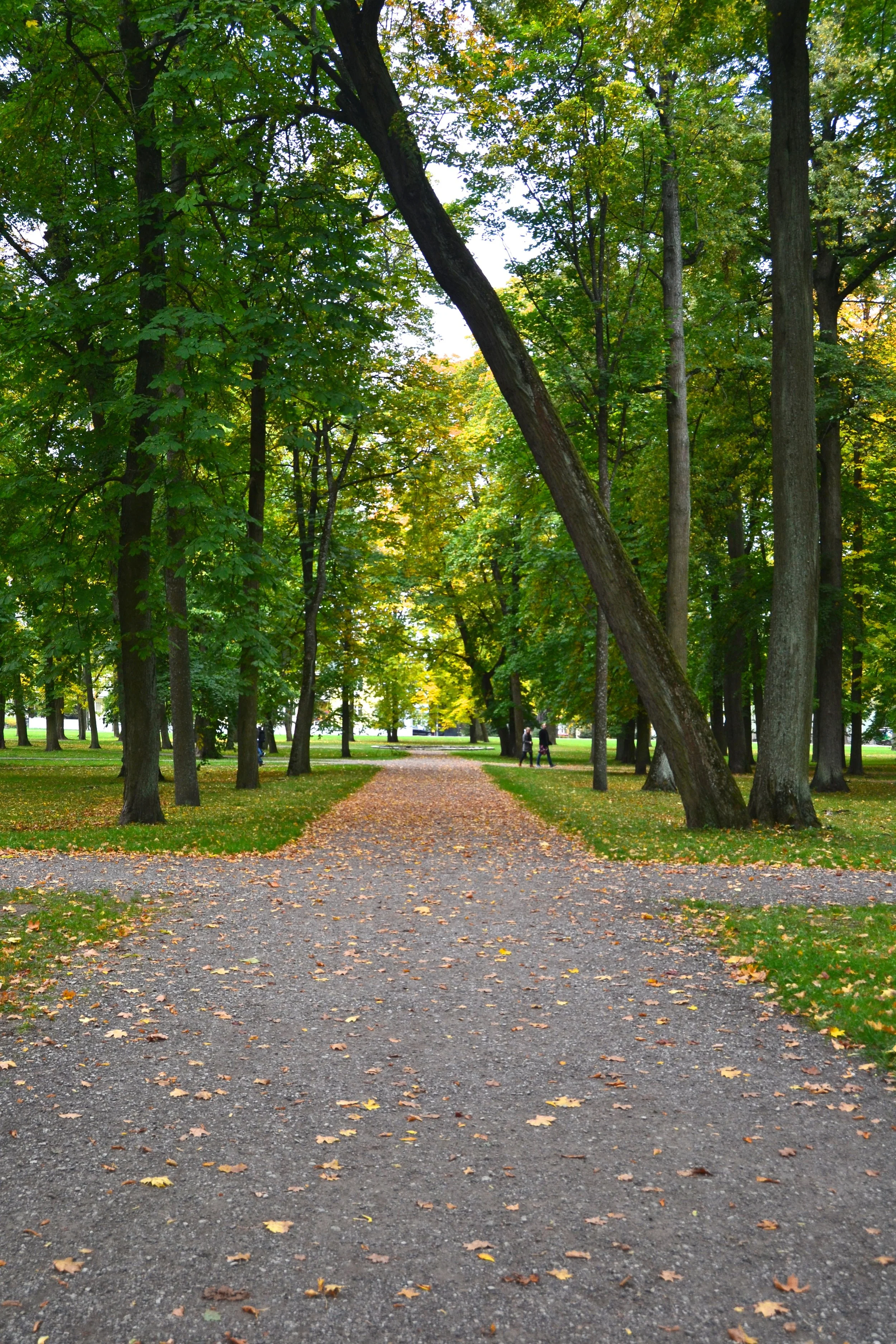 DSC_0027.jpg
