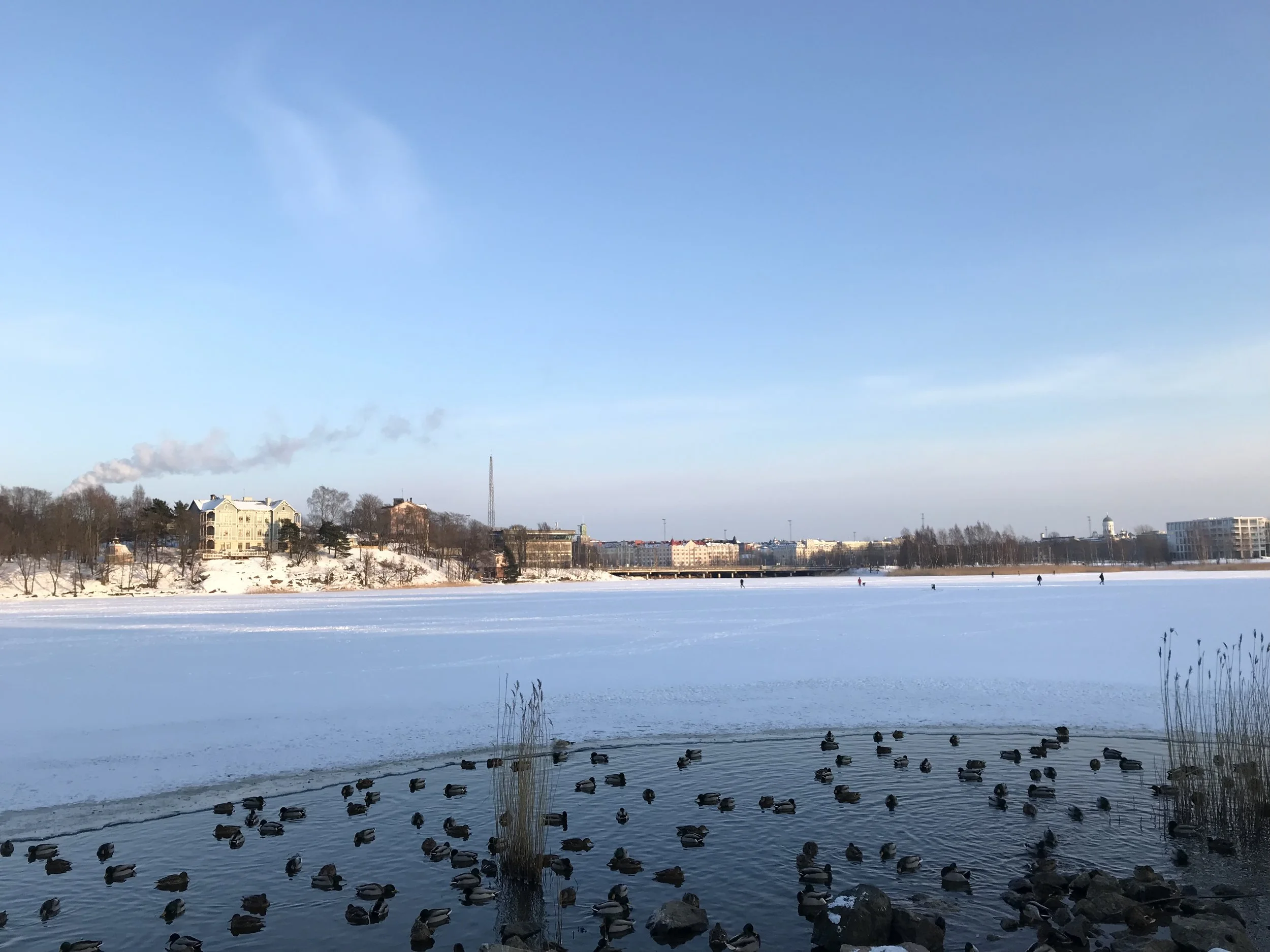 Photo 17.2.2018 16.14.56.jpg