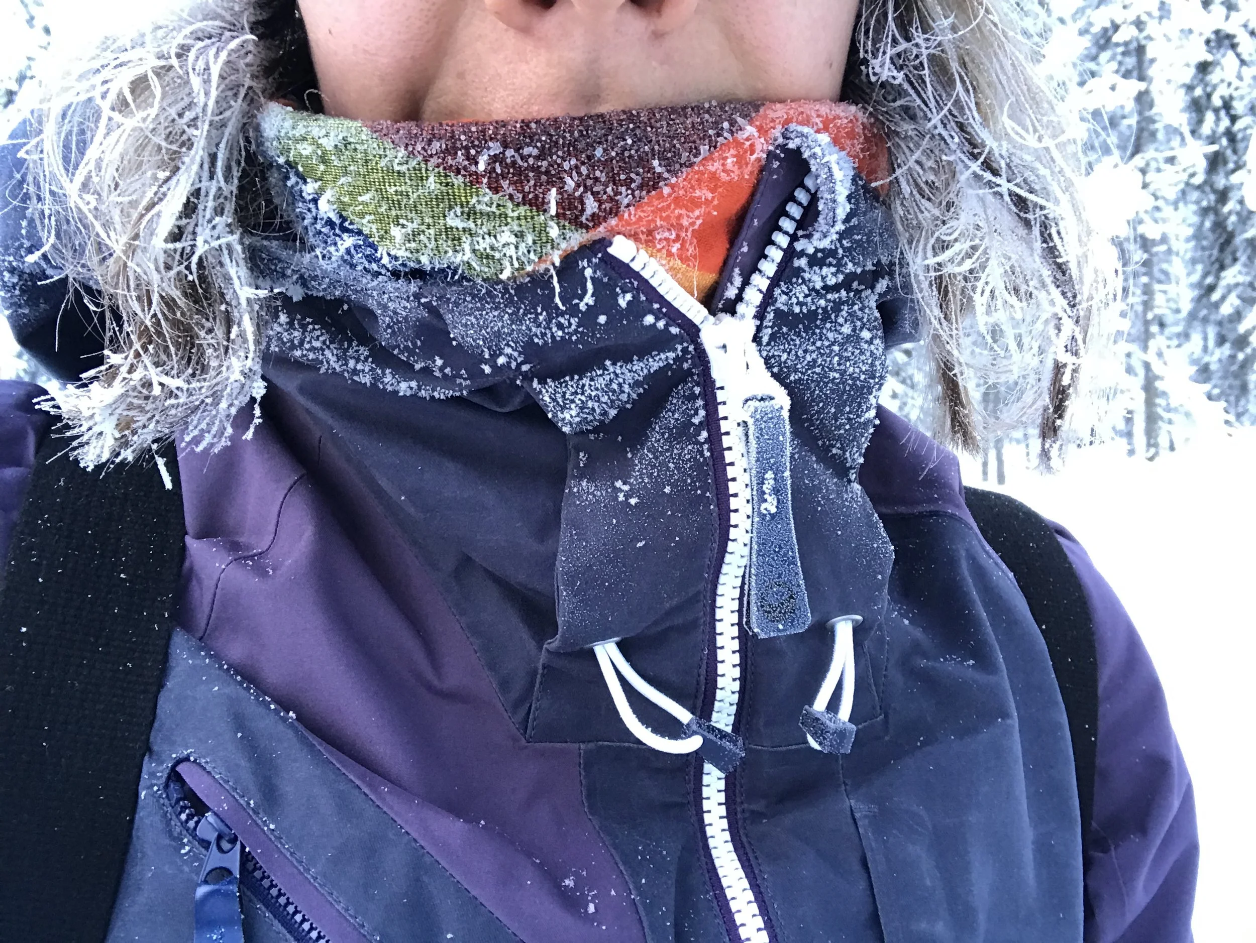 Photo 20-01-2019, 11.45.20.jpg