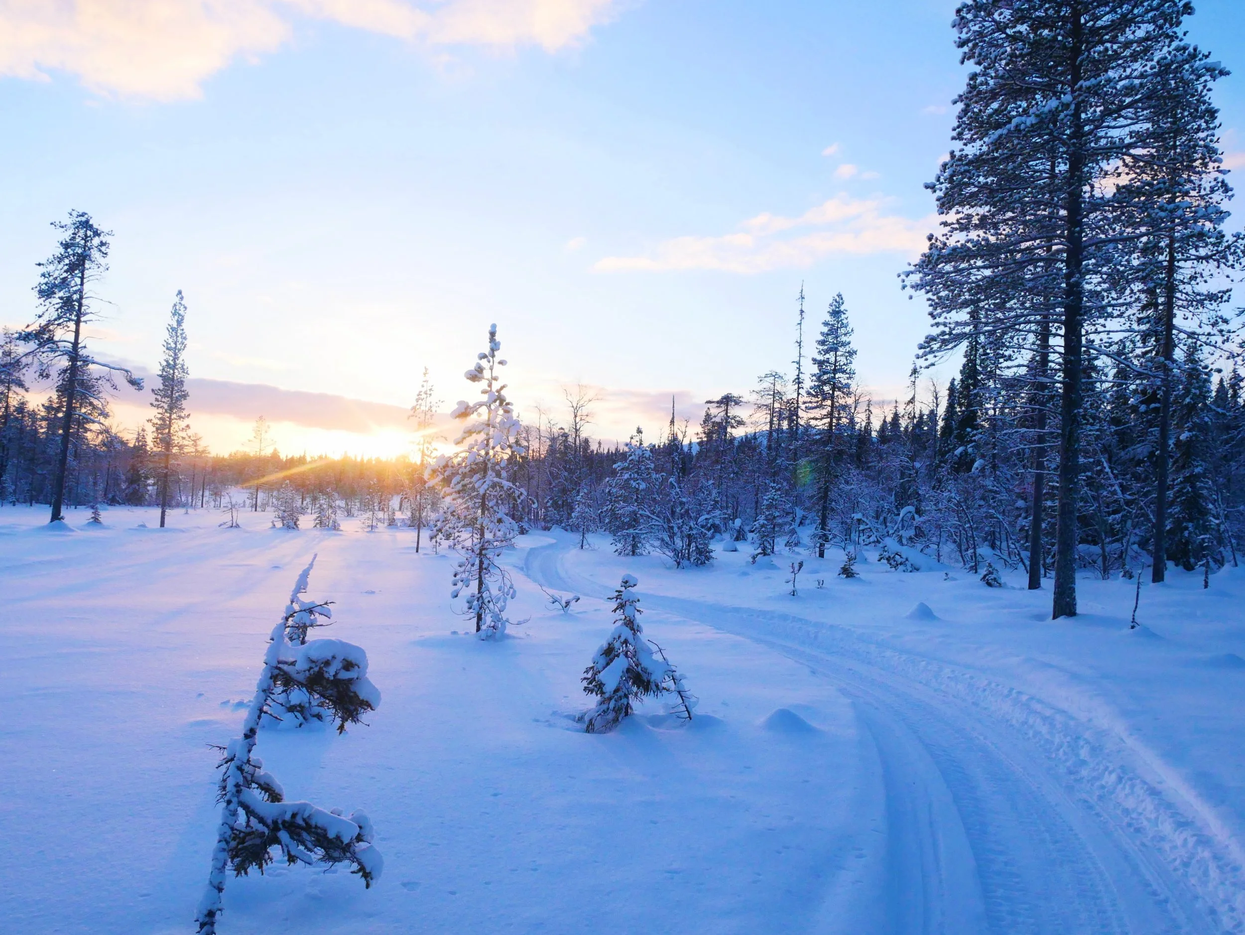 ylläs5.jpg