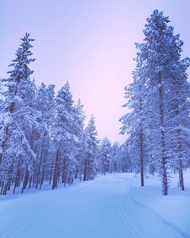 This snowy view melts my heart. 💙❄🎿 #xcskiing #levilapland #visitlapland #ulkonaperill&auml;