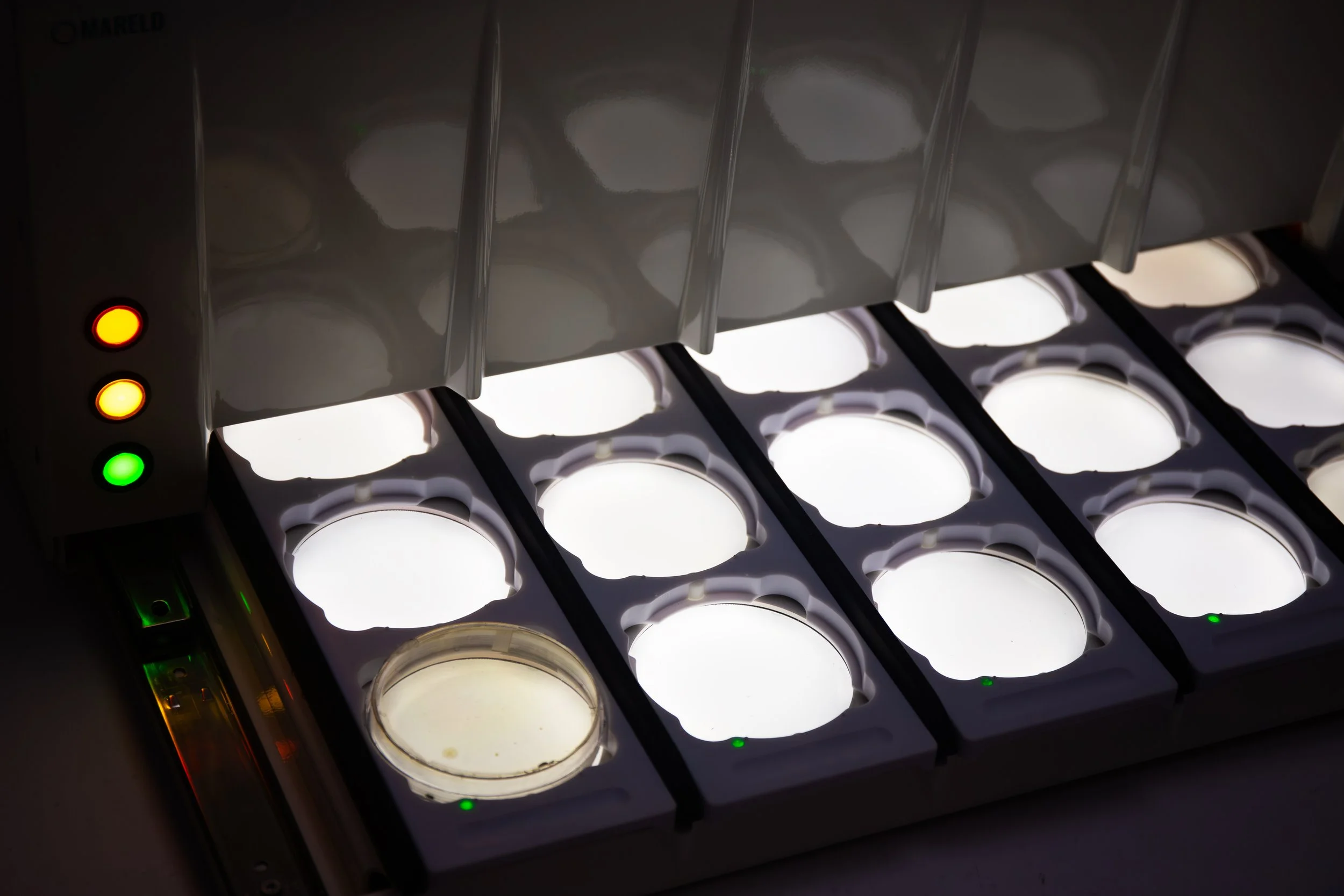 Back_lights_2.jpg