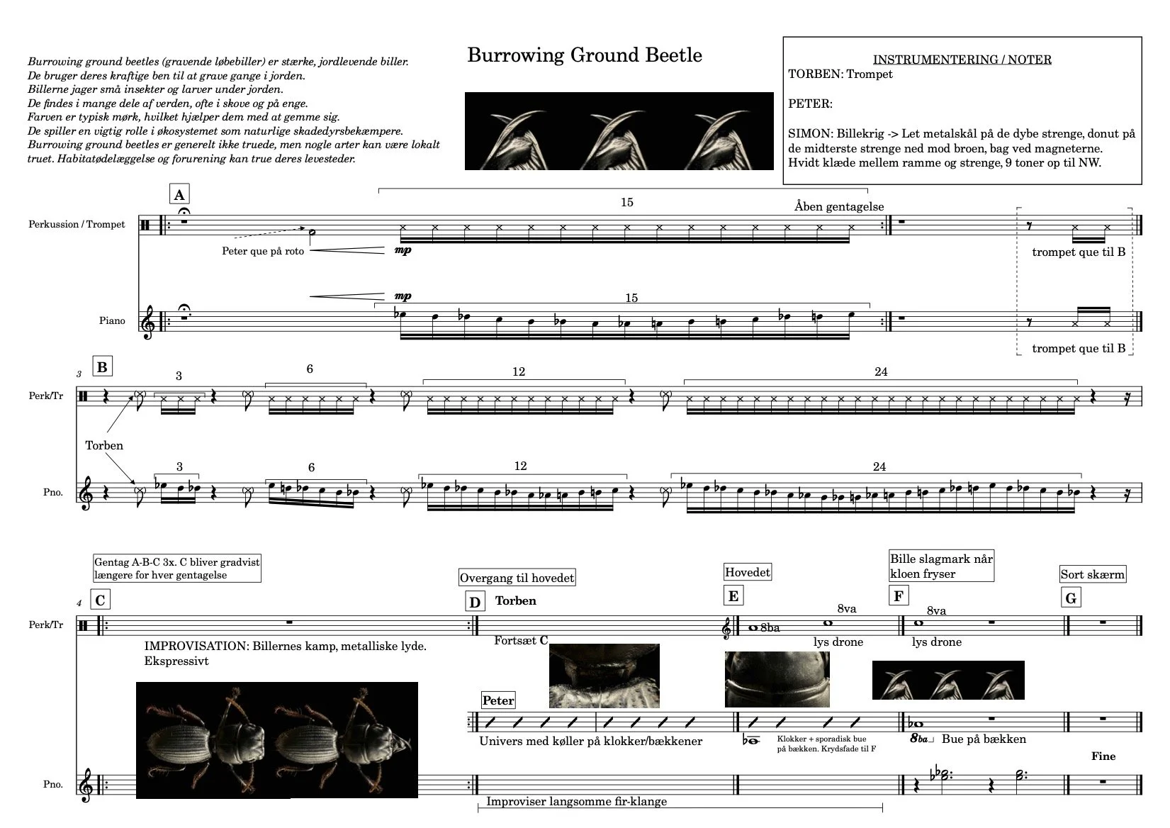 Burrowing Ground Beetle-Full score.jpg